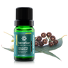 02 oleo essencial eucalipto 10ml