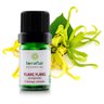 01 oleo essencial ylang ylang completo 5ml