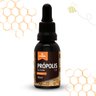 01 extrato de propolis 30 30ml