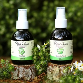 01 kit hidrolatos pura chuva