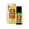 02 oleo essencial copaiba destilada 10ml