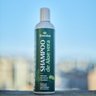 02 shampoo de aloe vera livealoe 300ml