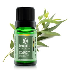 02 oleo essencial eucalipto radiata 10ml